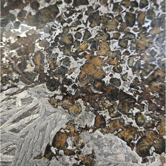 meteorite siemchan 1690 gr