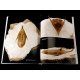 Ordovician Trilobites of the St. Petersburg region, Russia book