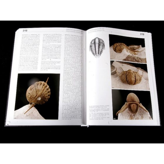 Ordovician Trilobites of the St. Petersburg region, Russia book