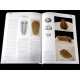 Ordovician Trilobites of the St. Petersburg region, Russia book