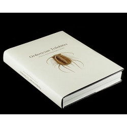 Ordovician Trilobites of the St. Petersburg region, Russia book