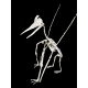 Barbaridactylus grandis 