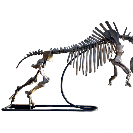 coelodonta antiquitatis woolly rhinoceros