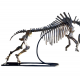 coelodonta antiquitatis woolly rhinoceros