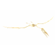 Alcione Elainus (Pterosaure)