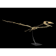 Alcione Elainus (Pterosaure)