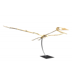 Alcione Elainus (Pterosaur)