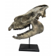 Hyracodon nebraskensis (skull)