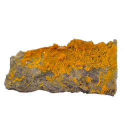 Wulfenite - Vanadinite - Mimetite Rowley mine