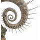 Ephamulina arcuata spiny