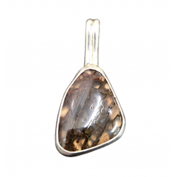 pendant gem bone real dinosaur bones silver