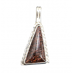 pendant gem bone real dinosaur bones silver