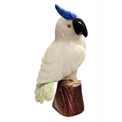quartz sodalite onyx amazonite parrot