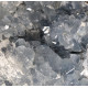 celestite