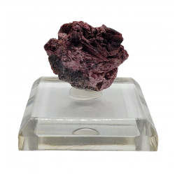 Erythrine