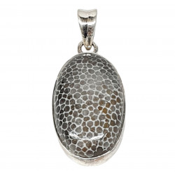 pendant fossil coral 