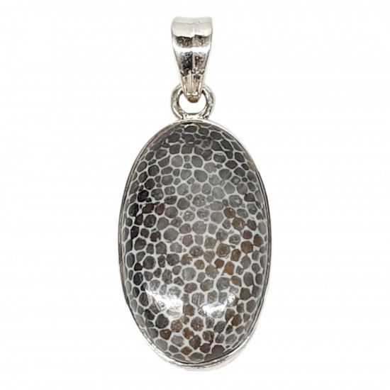 pendant fossil coral 