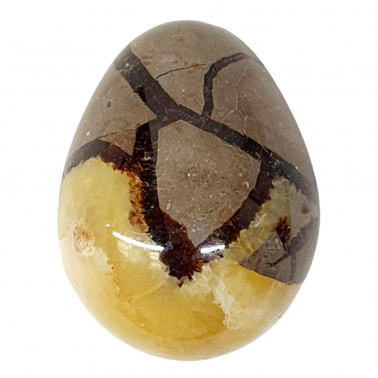 Yellow Septarian egg