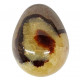 Yellow Septarian egg