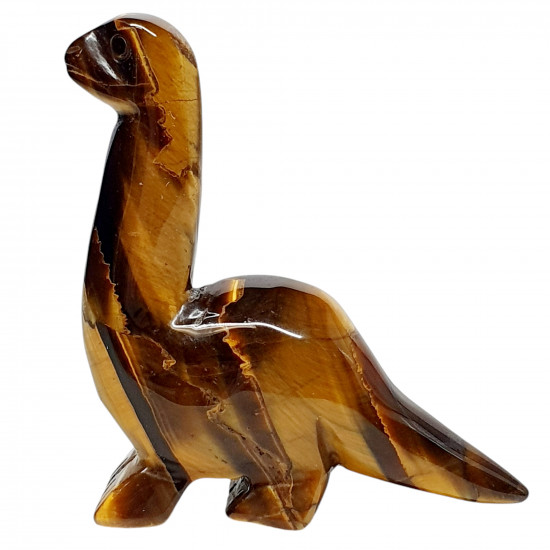 Dinosaur diplodocus tiger eye
