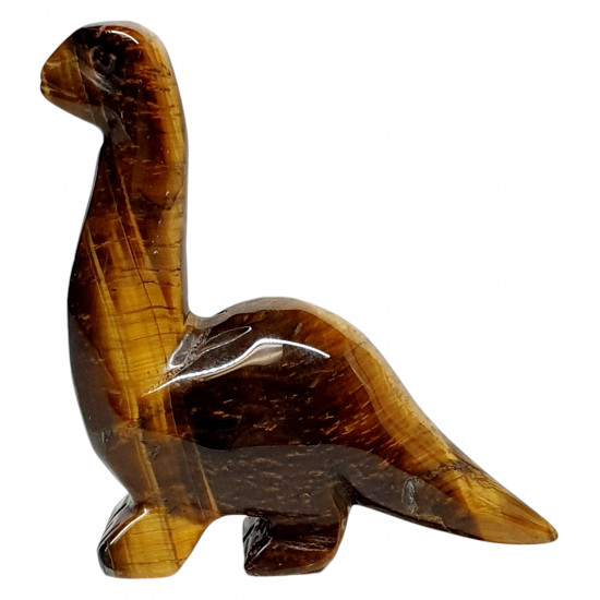 Dinosaur diplodocus tiger eye
