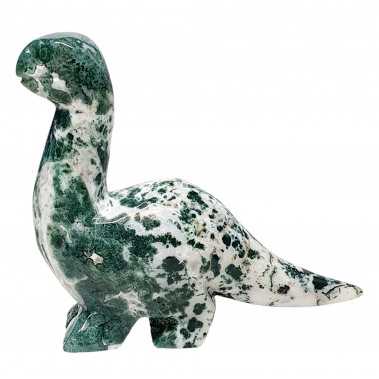 Dinosaur diplodocus tree agate