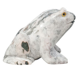 Grenouille agate mousse