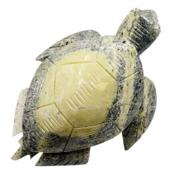 Sea turtle serpentine
