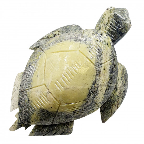 Sea turtle serpentine