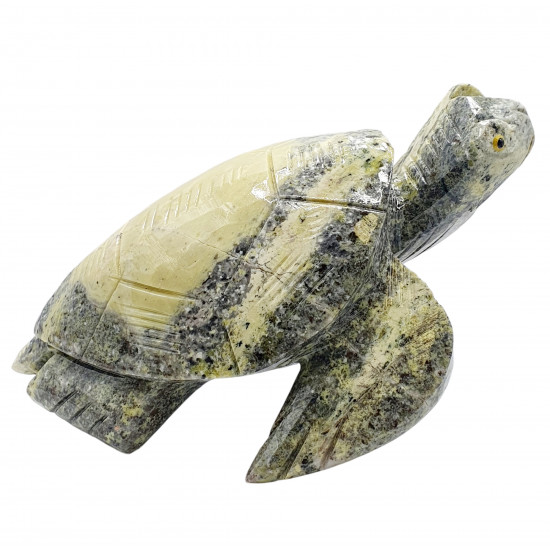 Sea turtle serpentine