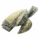 Sea turtle serpentine
