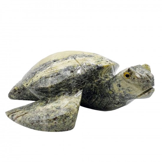 Sea turtle serpentine