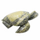 Sea turtle serpentine