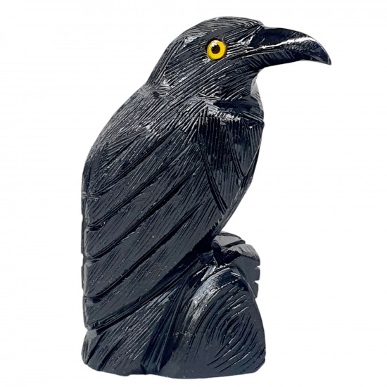 Black Onyx Raven 