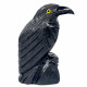 Black Onyx Raven 