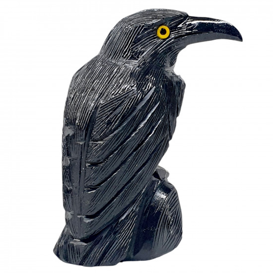 Black Onyx Raven 