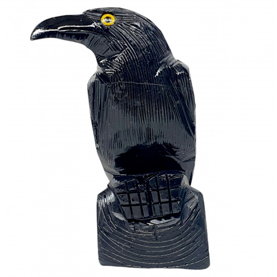 Black Onyx Raven 
