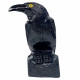 Black Onyx Raven 