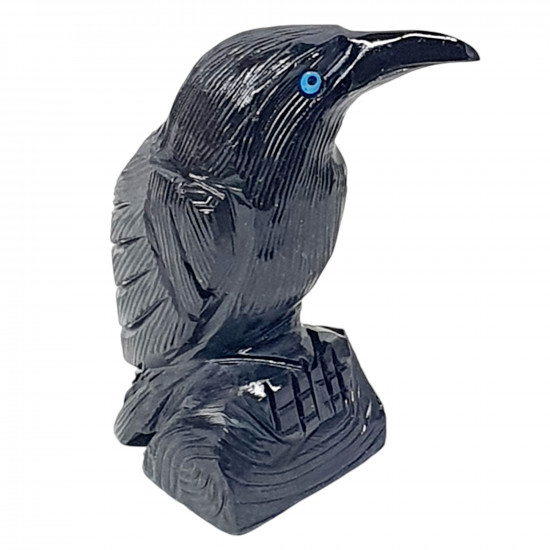 Black Onyx Raven 
