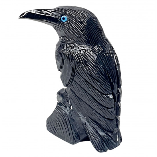 Black Onyx Raven 