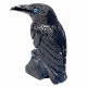 Black Onyx Raven 