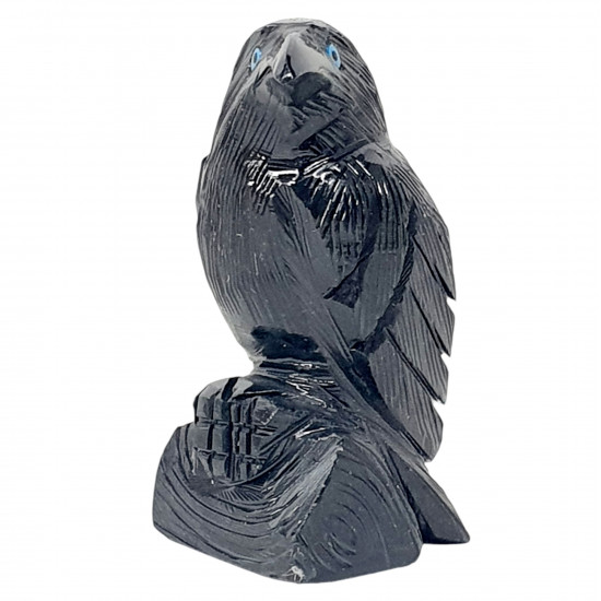 Black Onyx Raven 