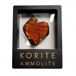 Ammolite placenticeras meeki