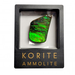 Ammolite placenticeras meeki