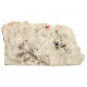 Rhodochrosite, Quartz, Pyrite, Hubnerite sweet home mine