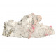 Rhodochrosite, Quartz, Pyrite, Galena, Fluorite sweet home mine