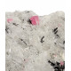 Rhodochrosite, Quartz, Pyrite, Hubnerite sweet home mine
