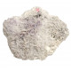 Rhodochrosite, Quartz, Pyrite, Galena, Fluorite sweet home mine