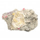 Rhodochrosite, Quartz, Pyrite, Galena, Fluorite sweet home mine