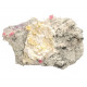 Rhodochrosite, Quartz, Pyrite, Galena, Fluorite sweet home mine